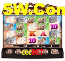 cccbet,cccbet.com